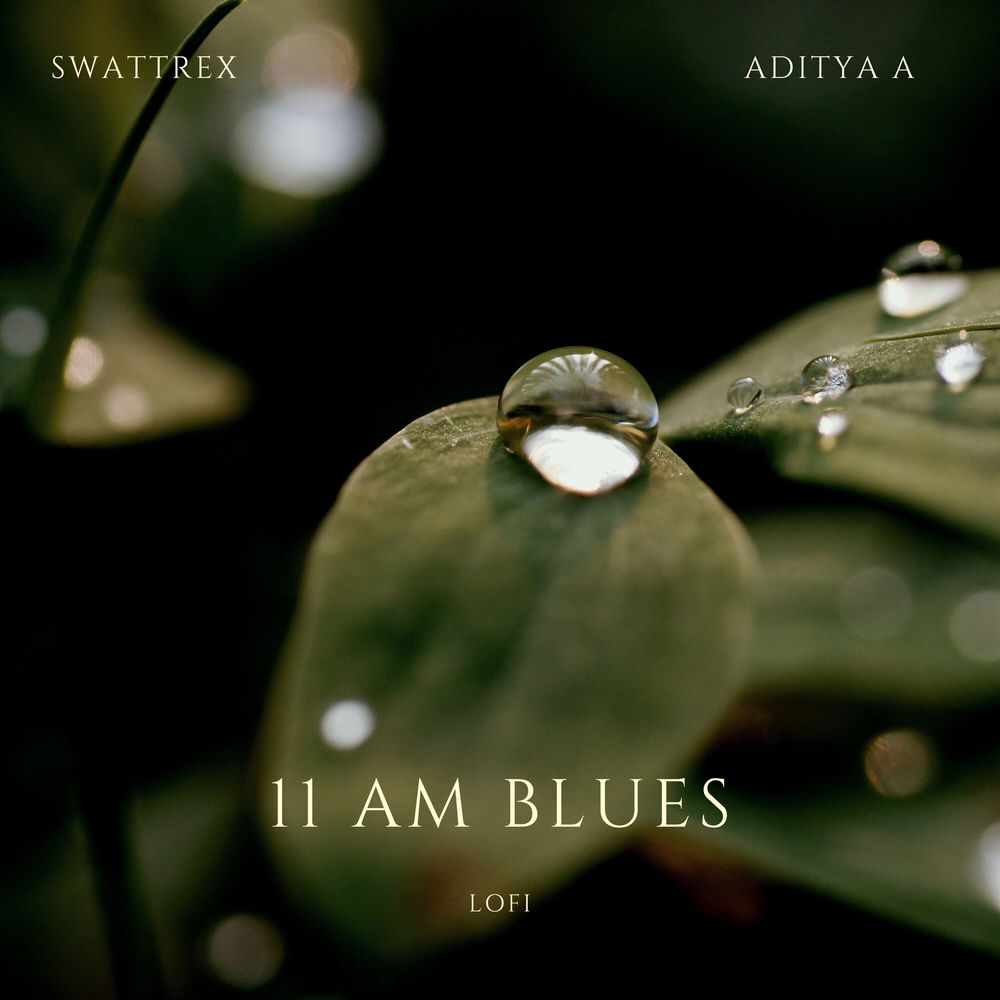 Adityasya