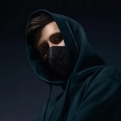 Foto Artist Alan Walker