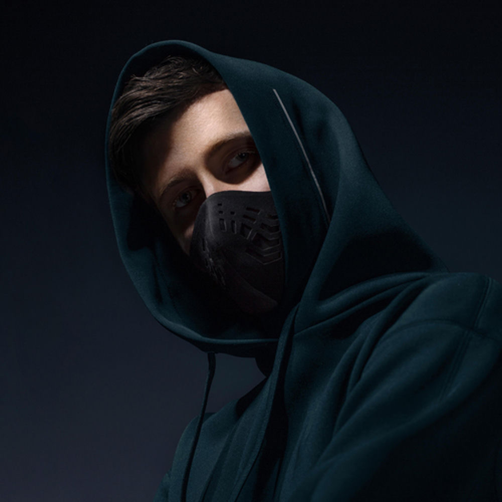 Foto Artist Alan Walker