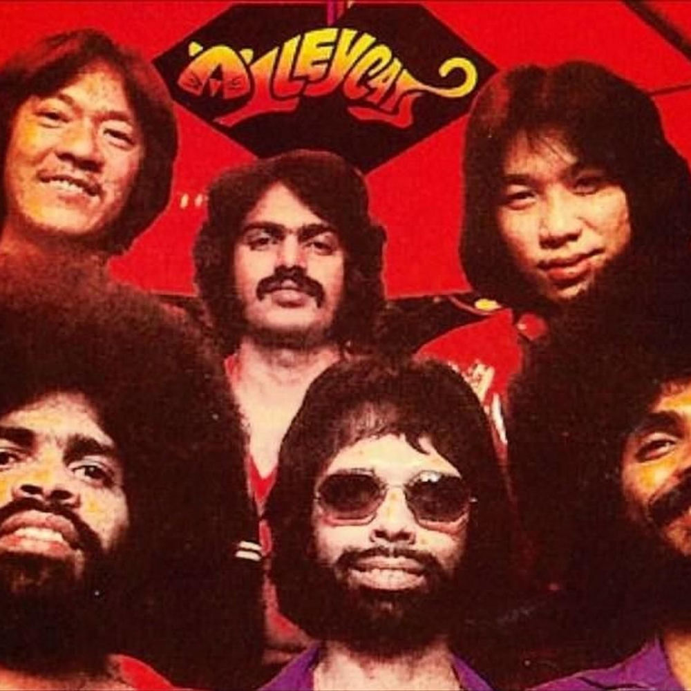 Alleycats