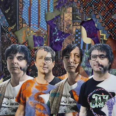 Foto Artist Animal Collective