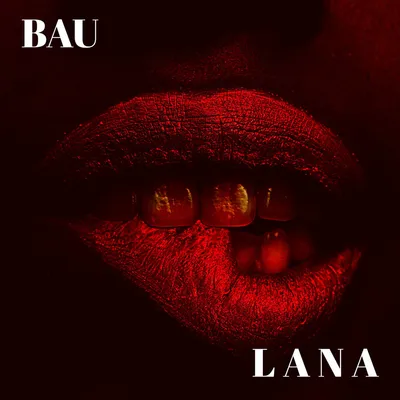 Foto Artist Bau