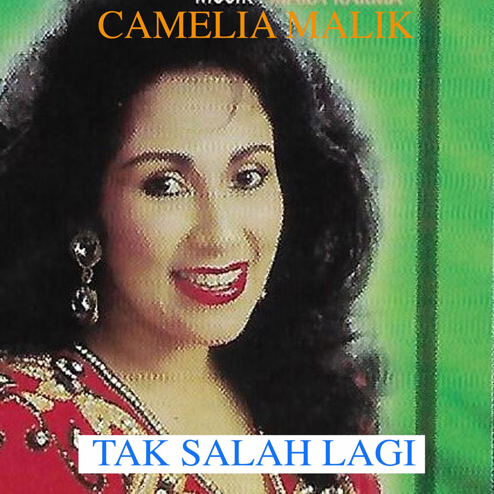 Foto Artist Camelia Malik