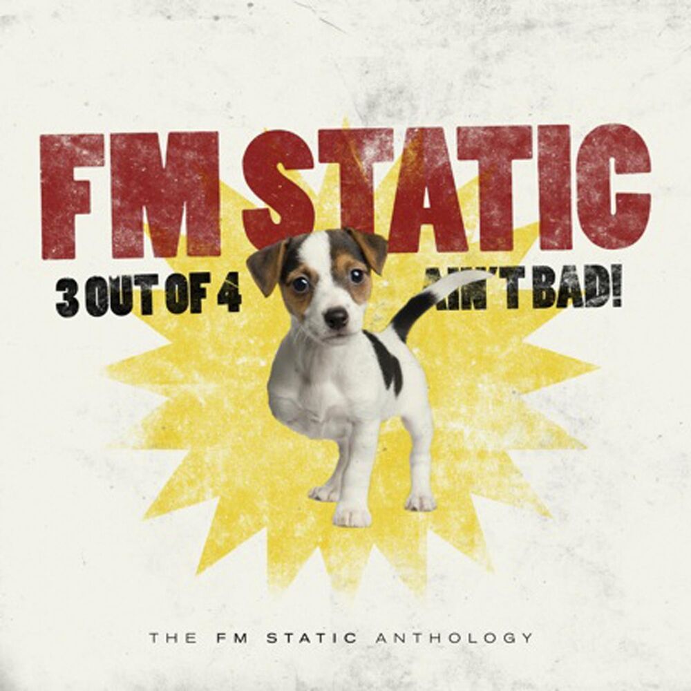 Fm Static