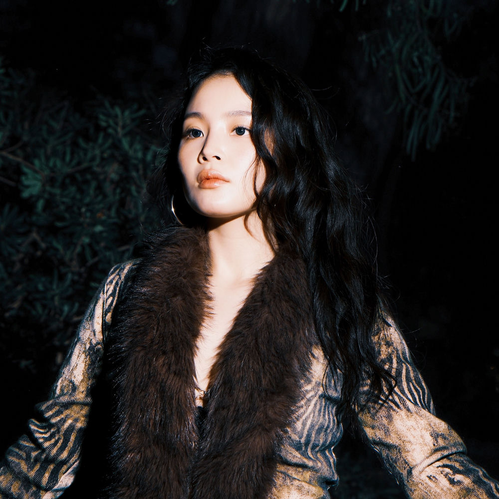 Lee Hi (이하이)