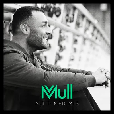 Foto Artist Mull