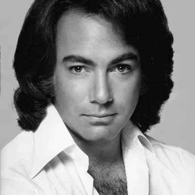 Foto Artist Neil Diamond