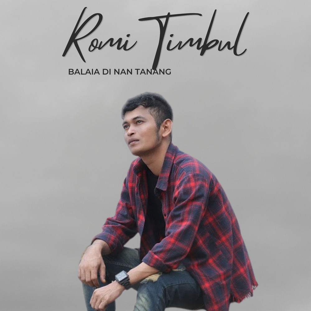 Romi Timbul