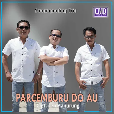 Foto Artist Simangonding Trio