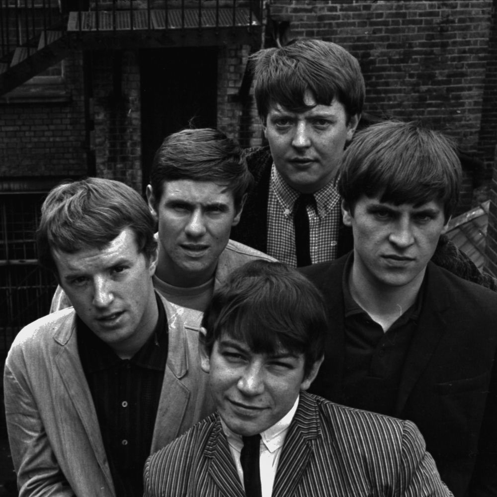 The Animals