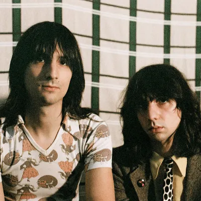 Foto Artist The Lemon Twigs