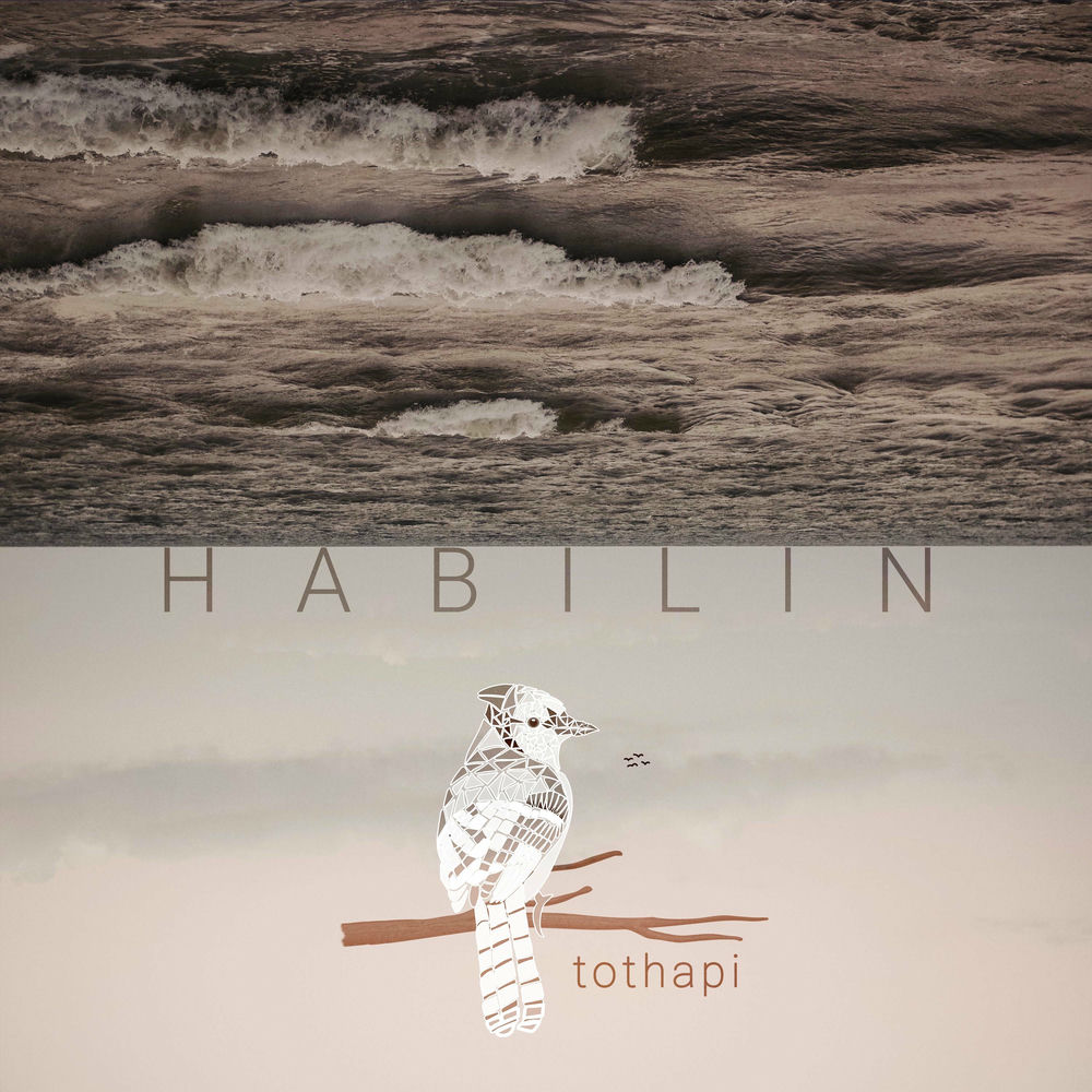 Tothapi