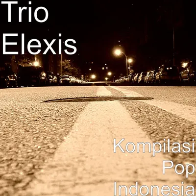 Foto Artist Trio Elexis