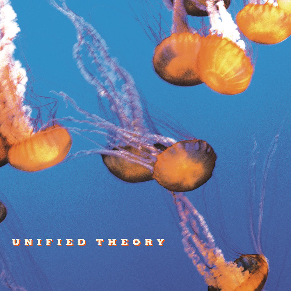 Unified Theory