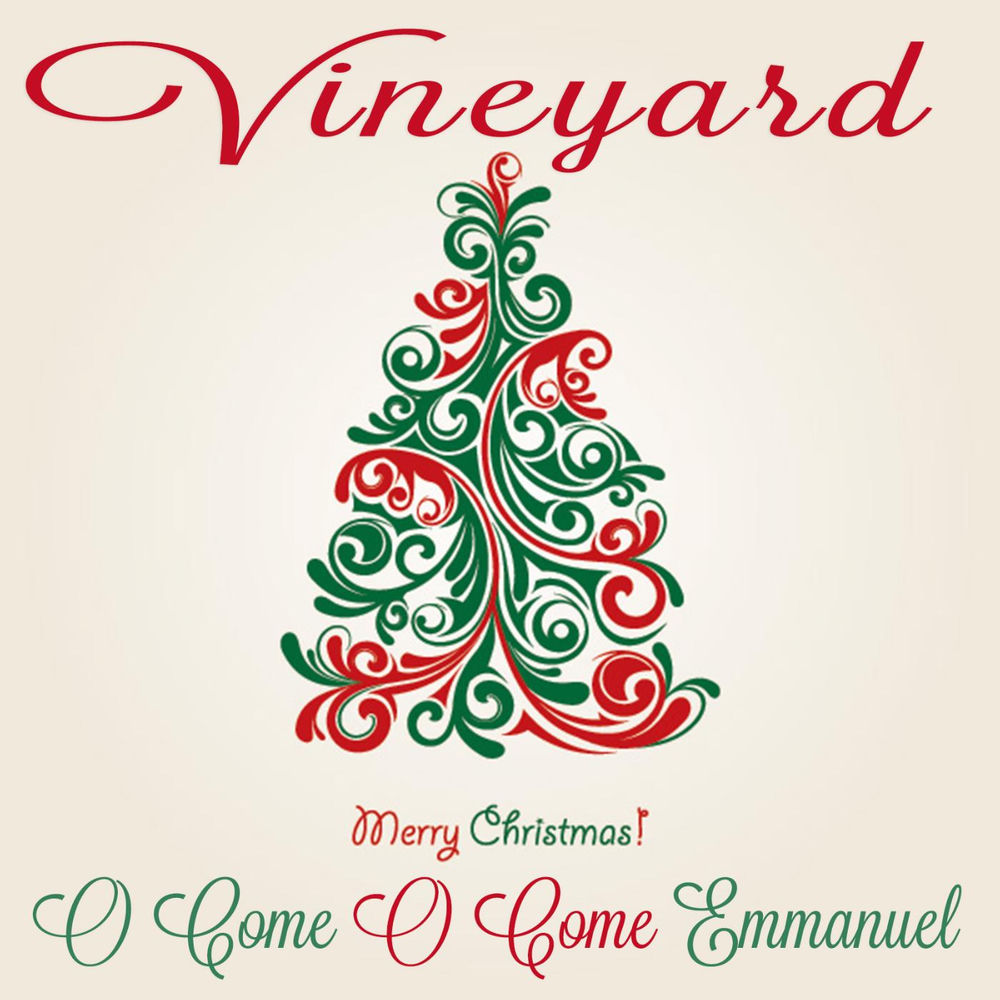 Vineyard