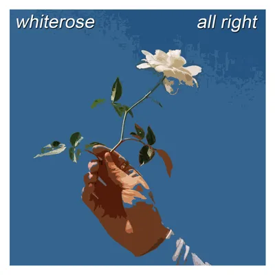 Foto Artist White Rose