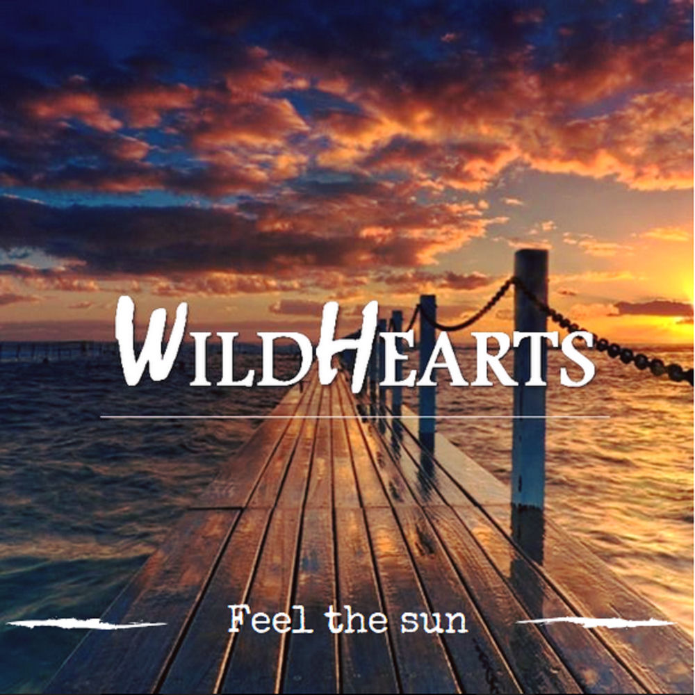 Foto Artist Wildhearts